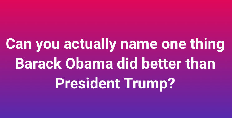 One Bad Dude tweet media