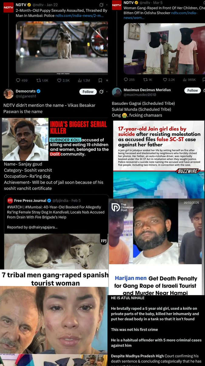 Based V1 tweet media