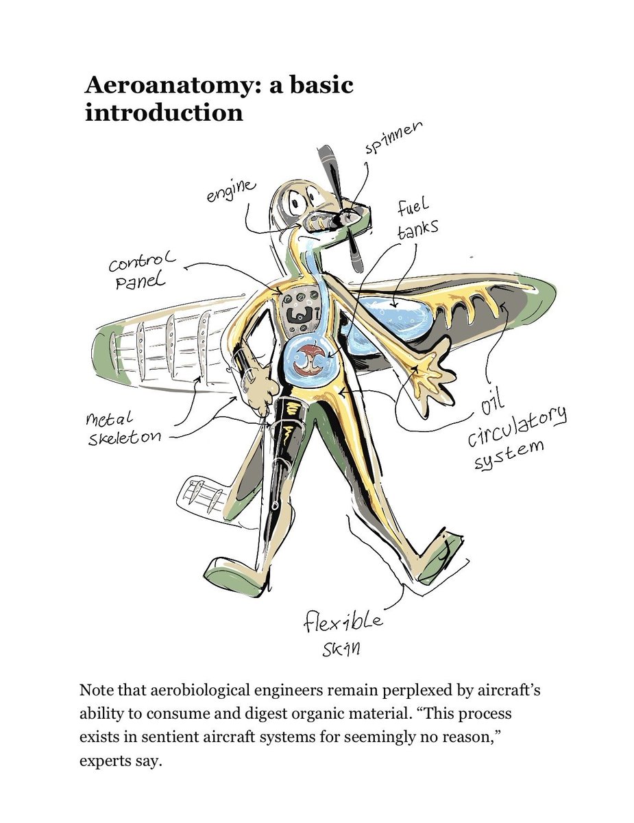 Official Fish Planes tweet media