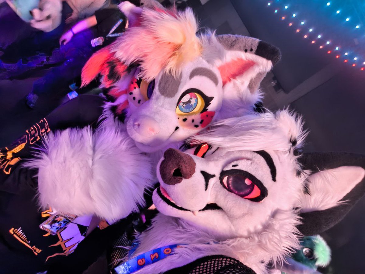 Happy #FursuitFriday!

I... realize I haven't done one of these since last #NFC26.

It's been a rough year, but coming back to Sweden was just as refreshing and wonderful as last time.

Thanks to everyone who was a part of it, hope to see you all again next year ❤️