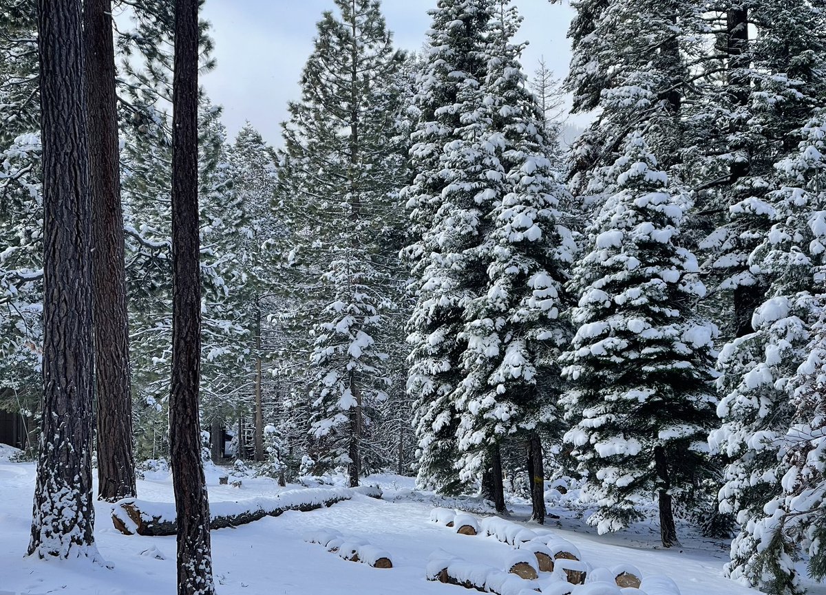 Susan Cochran tweet media