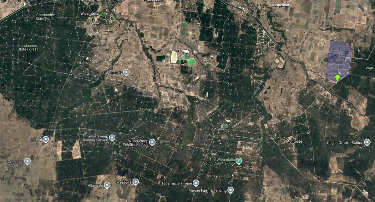 Liza Balmain tweet media