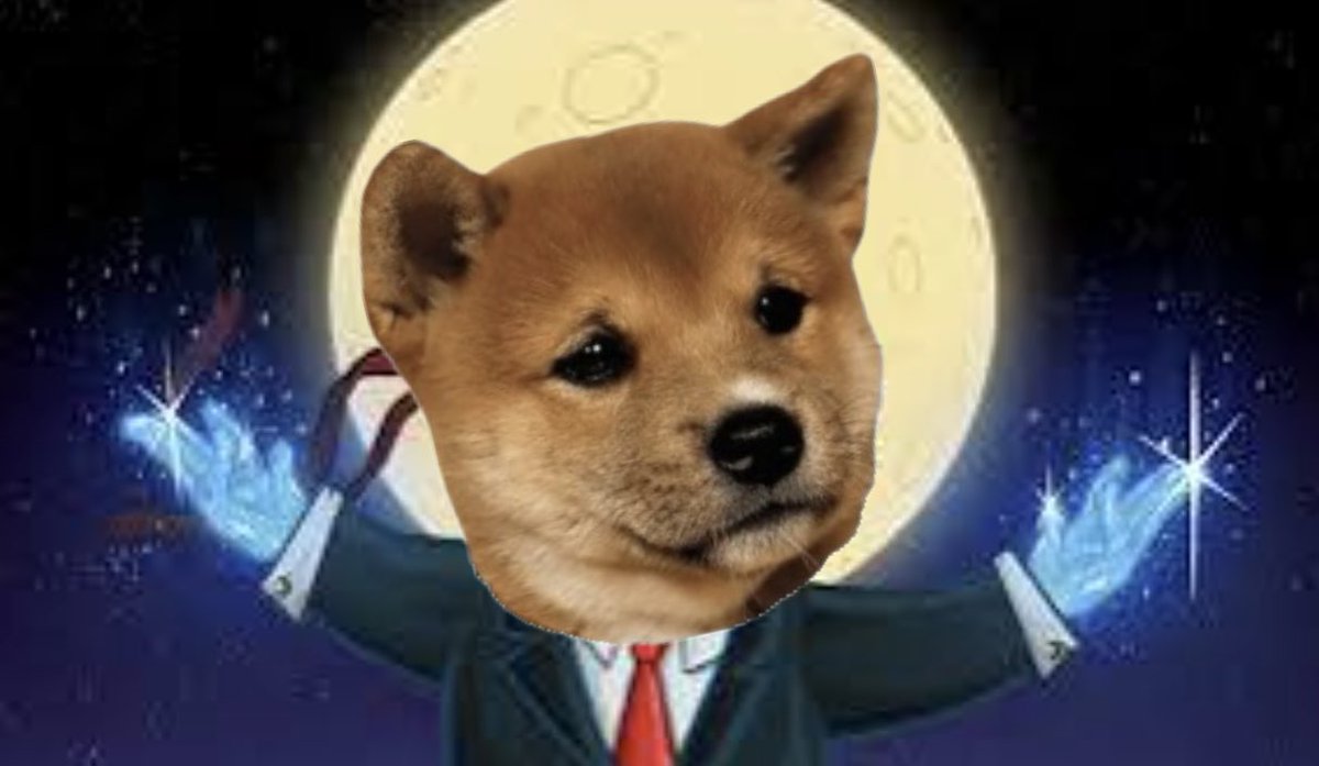 What’s Updog? tweet media