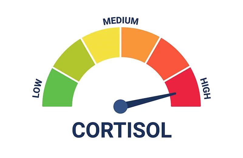 Corporate Weapon tweet media