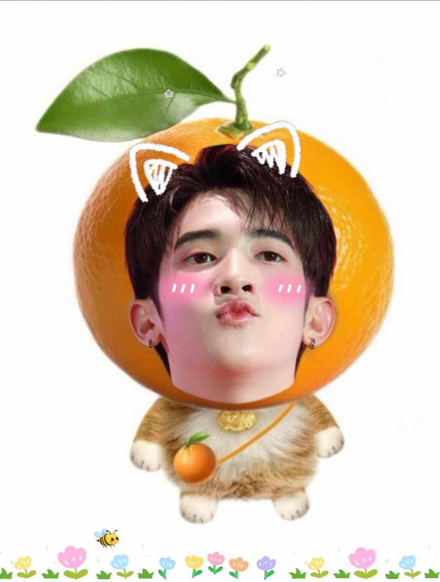 Miss this cutie so much~~ I can already picture how adorable he’ll be as Ko Neung🍊🐱

#WhenOrangesFallQ5
#ProgressPassawish
#AlmondProgress
#ด้อมภภ #PSPW