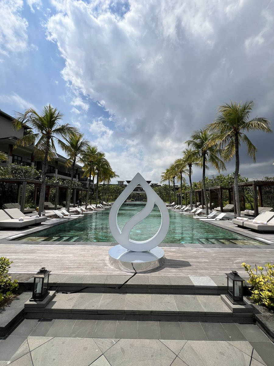 K A L E O tweet media