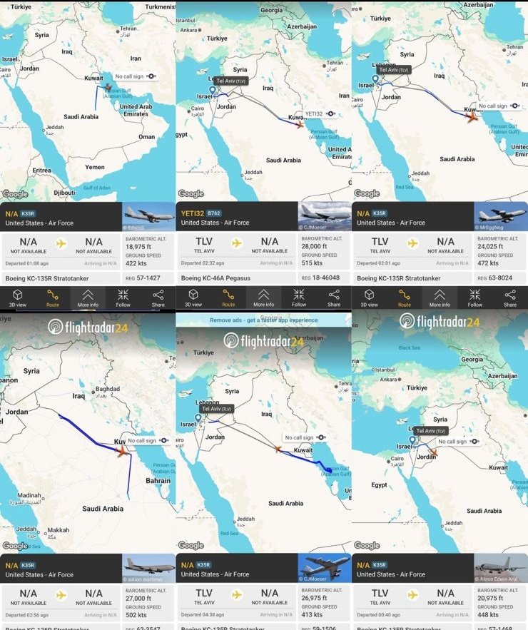 Marwa Osman || مروة عثمان tweet media