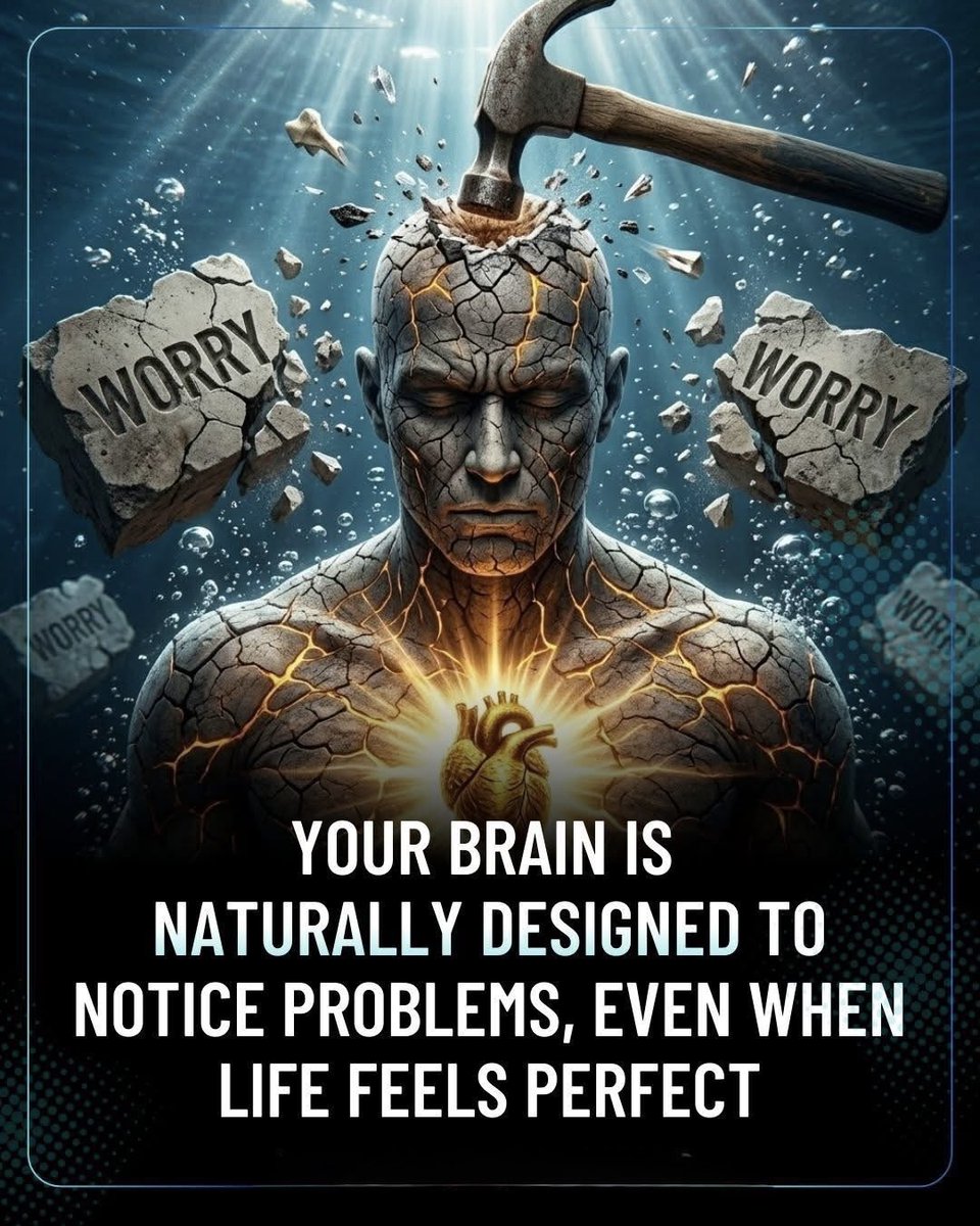 Shining Science tweet media