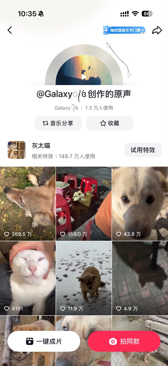 从零开始的打狗生活 tweet media