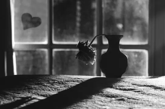 Ramos David tweet media