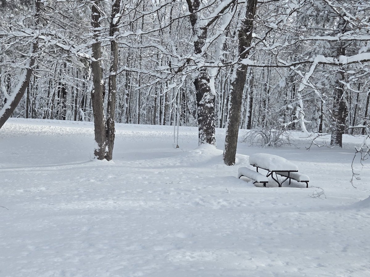 💙#BackTheLEOs🇺🇸 tweet media