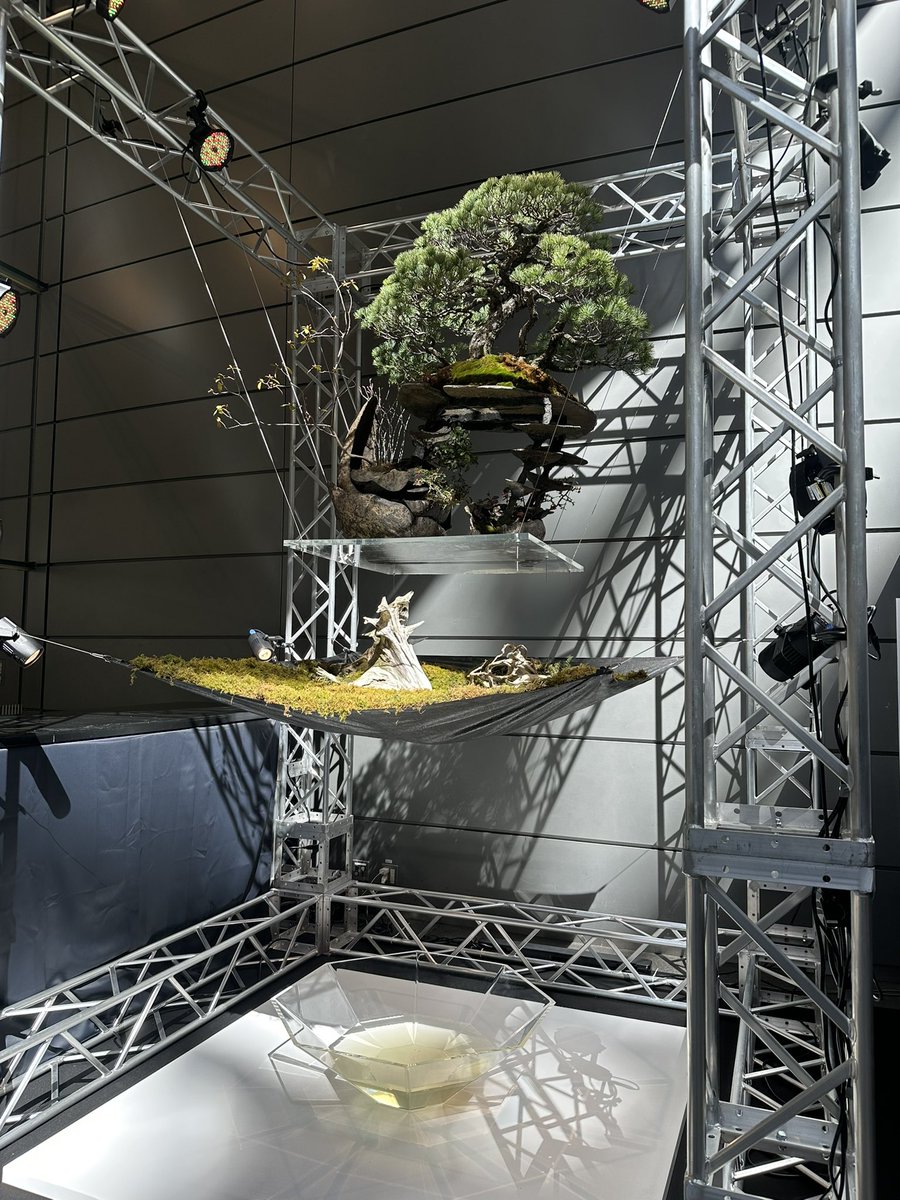 ジュリア🧩(GIULIAV6) tweet media