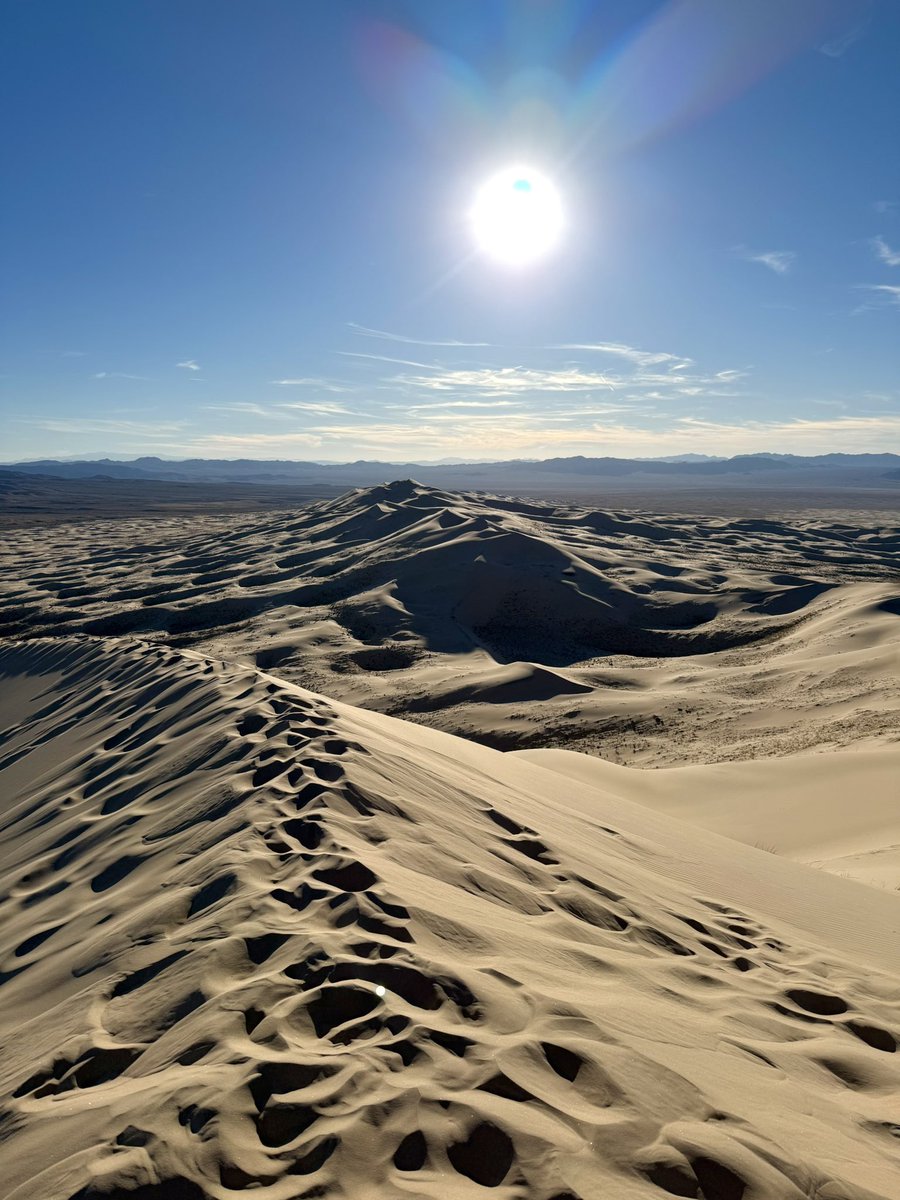 Corporate Weapon tweet media