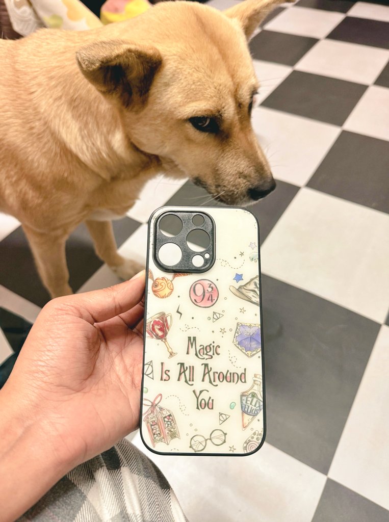 Alovilika Sumi tweet media