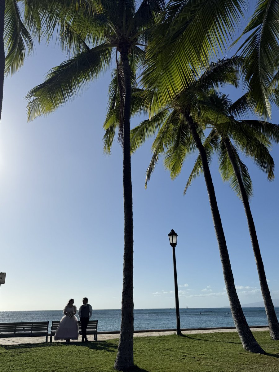 もも（最強） tweet media