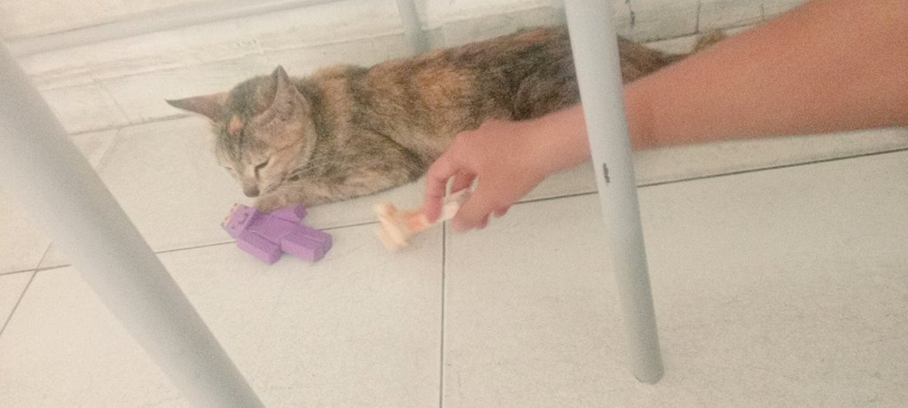 Baba Kins tweet media