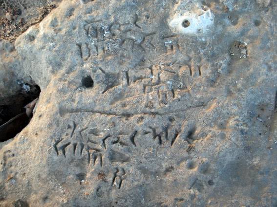 Amir 🪶 tweet media