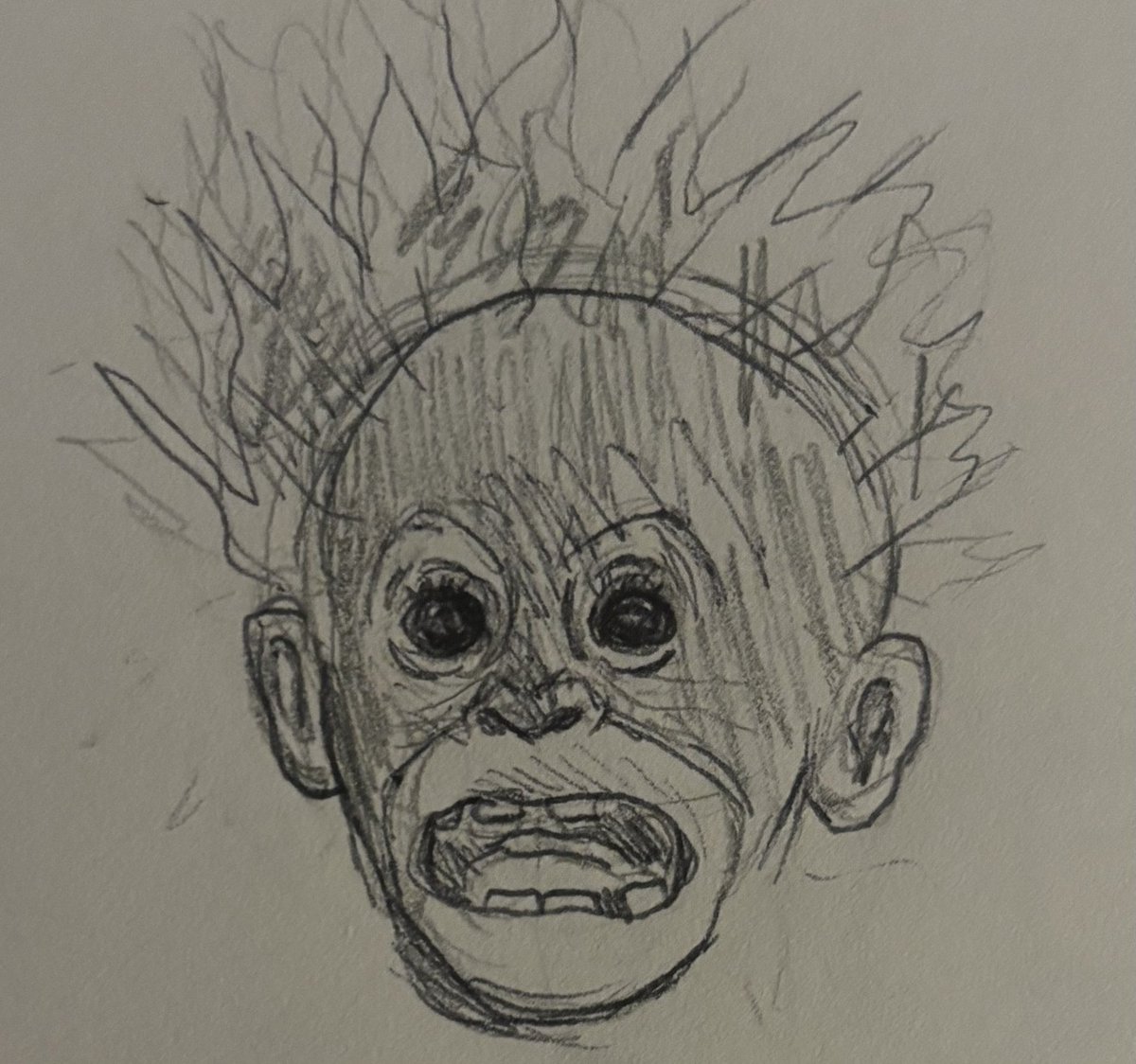 Orangutandrea tweet media