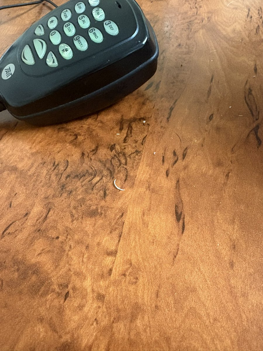 StephWalker82's tweet photo. How good is it sharing a desk? I love how hygienic my co-workers are. 🤮🤮🤮 https://t.co/vQa24mkluh