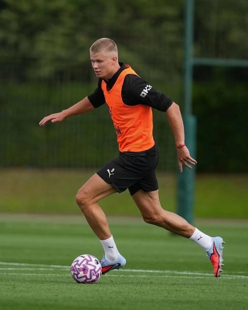 Brandon(FAN) tweet media