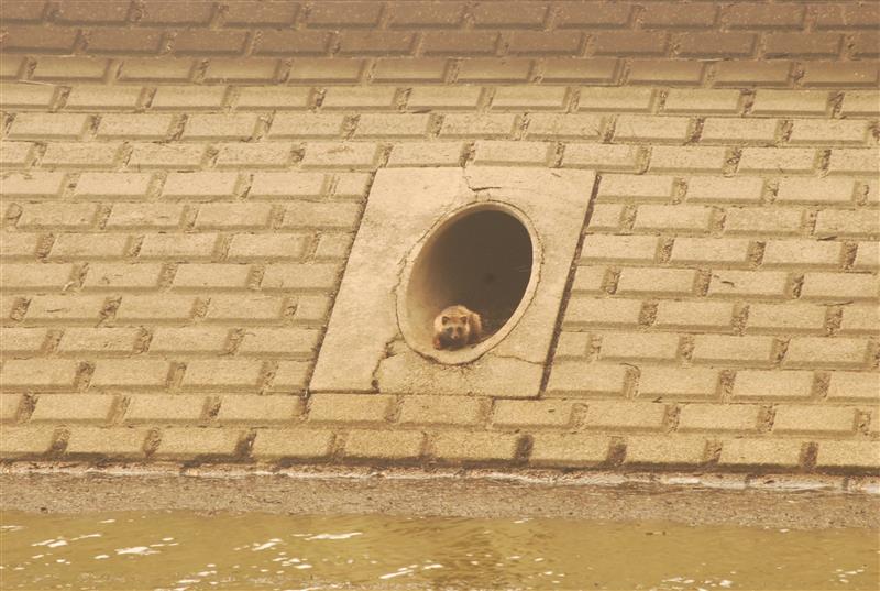 国土交通省利根川上流河川事務所 tweet media