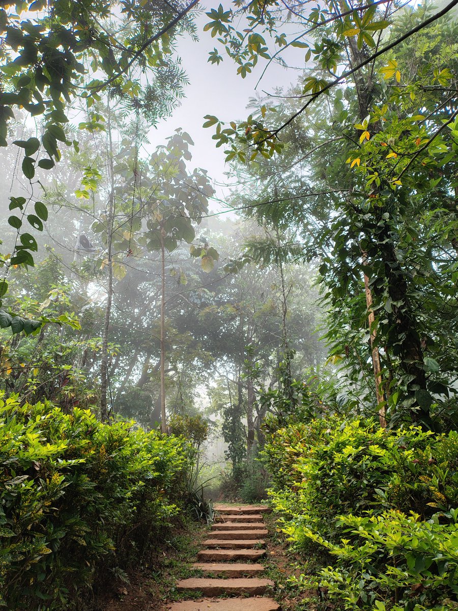 do nothing vacations tweet media