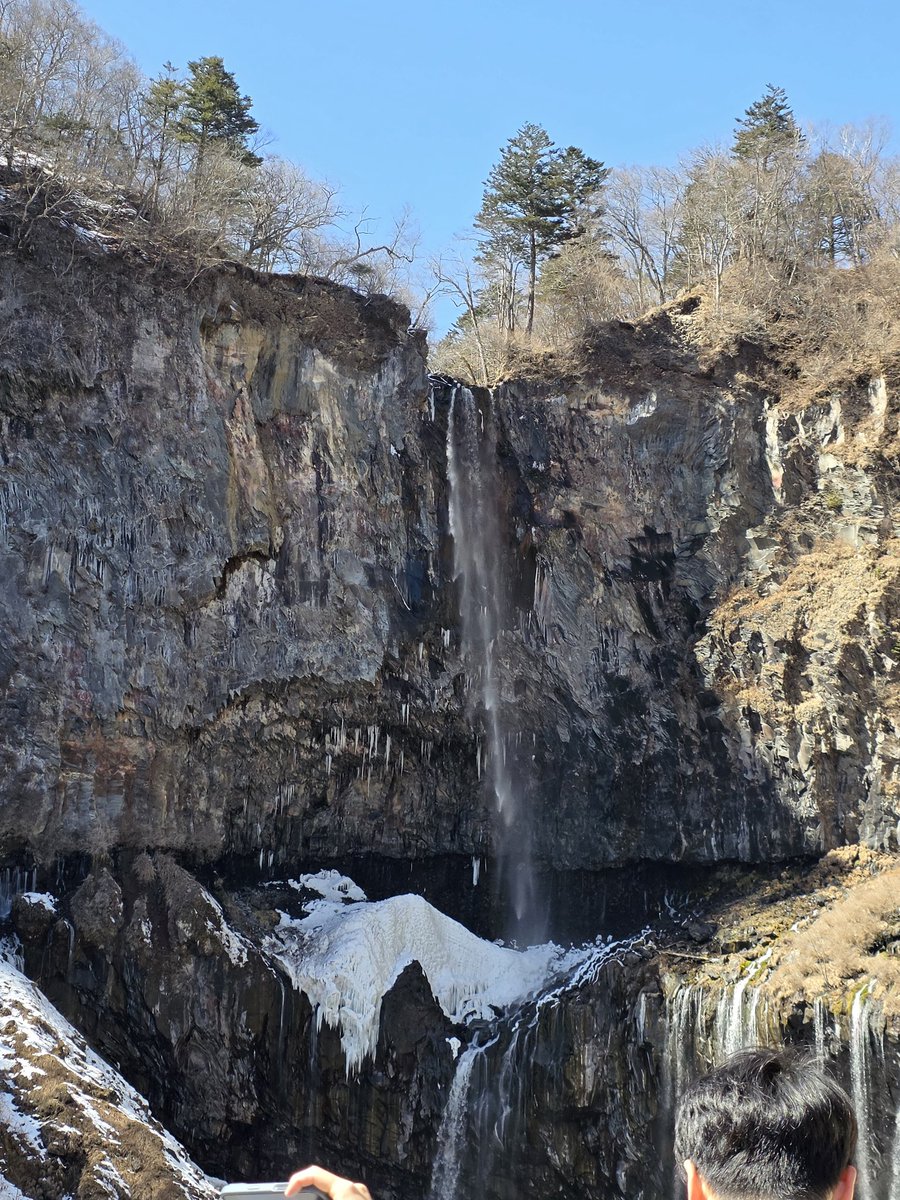 未完のみかん tweet media