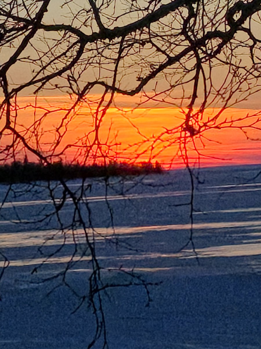 SeasSprite 🌲 🇺🇸❤️🇨🇦🌲 tweet media