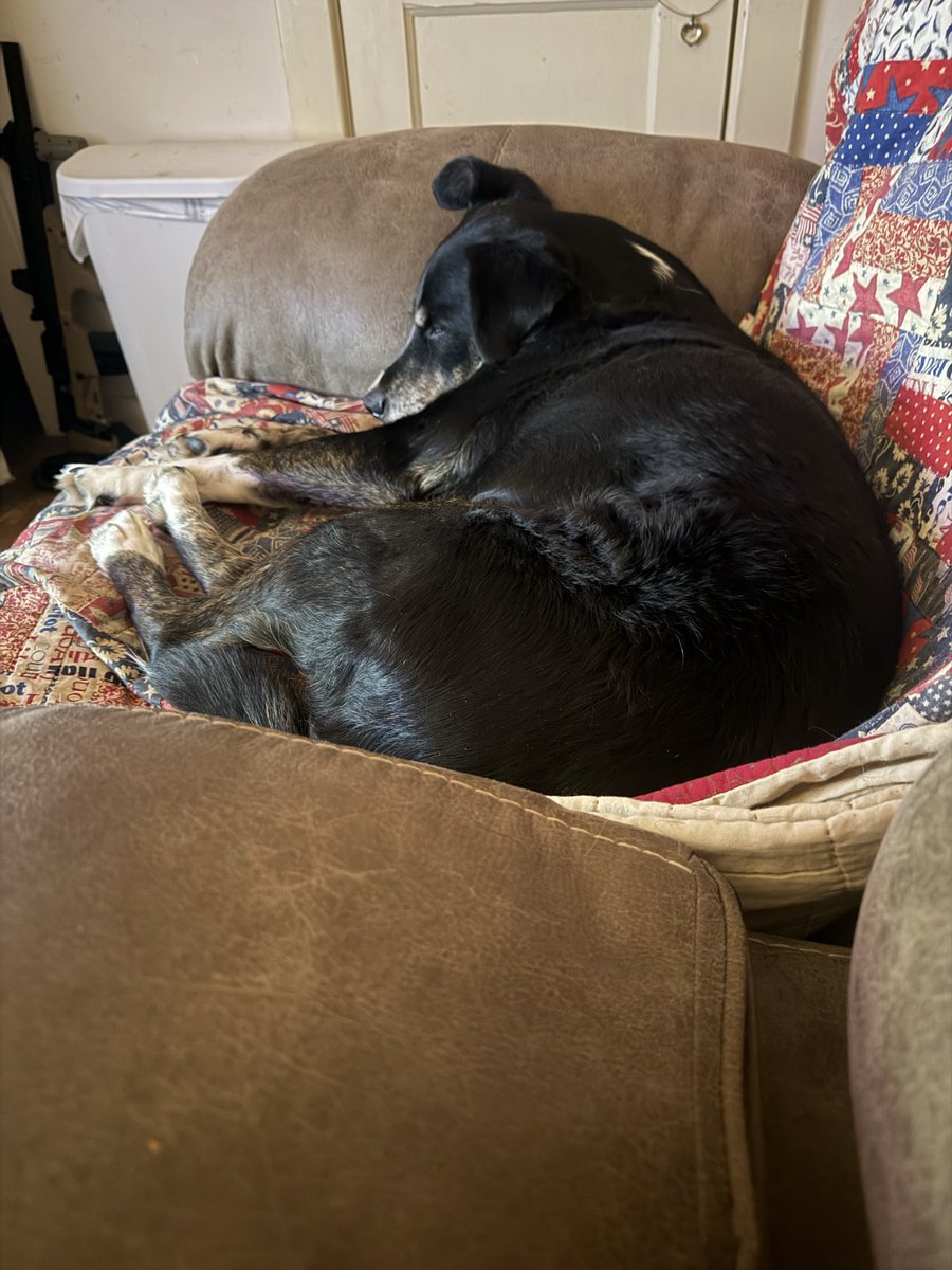 Just T.J. the Army Vet tweet media