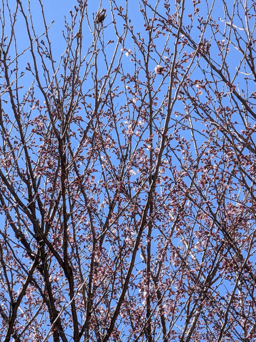 CAMP御戦@10周年 tweet media