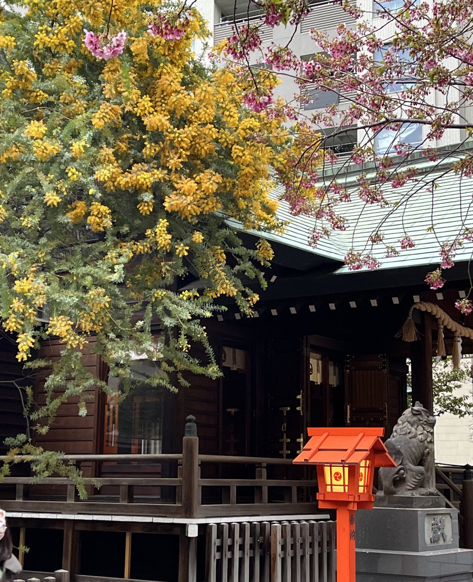 うまさんぽ展🐴 tweet media