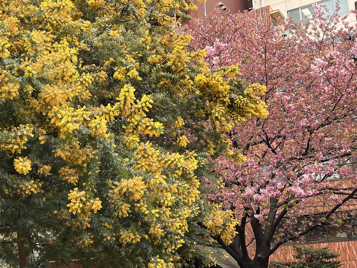 うまさんぽ展🐴 tweet media