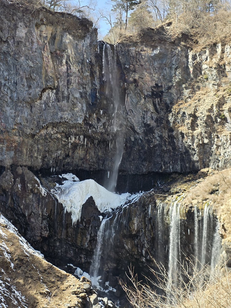 未完のみかん tweet media