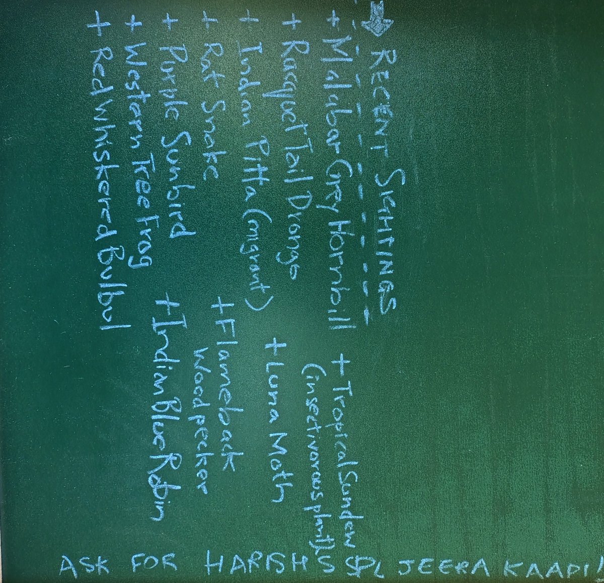 do nothing vacations tweet media