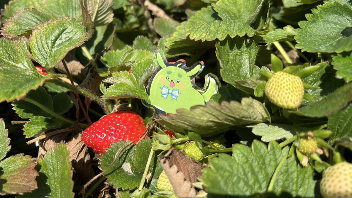 柴豆古琳🛸🚀萬訂達成大感謝｜星療犬Vtuber tweet media