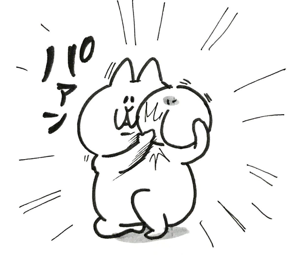 Solana Dailys tweet media