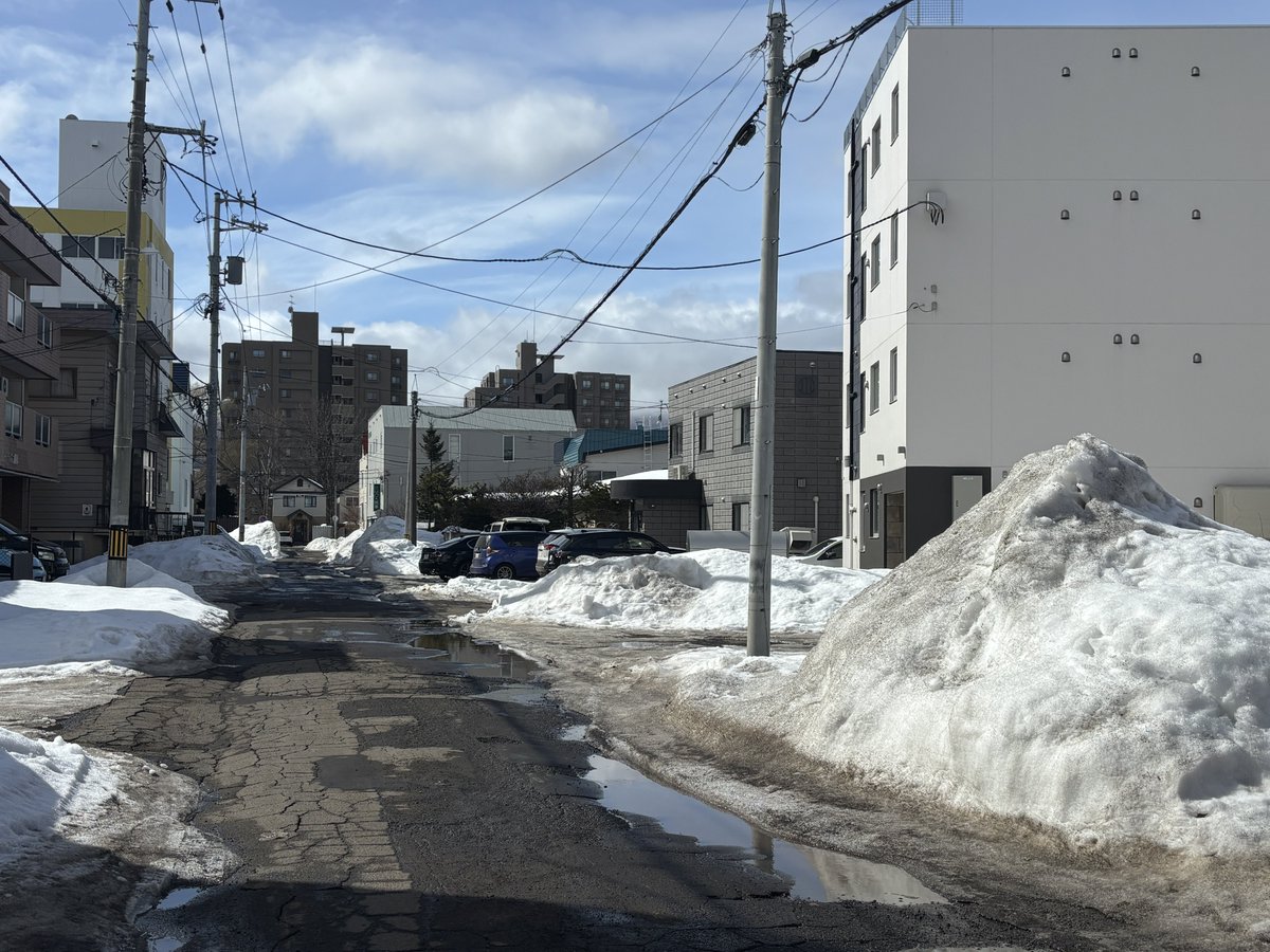 今の時期。札幌の雪ってどれくらいあるの？と質問して
「え？雪？もう全然ないわ、もう全くない。溶けた溶けた、もう全然快適に歩けるわ、だからそんなに気にしなくていいわ、雪もうほんとないから」
と言ってる時の残雪量はだいたいこんな感じなので鵜呑みにしすぎない方がいい。