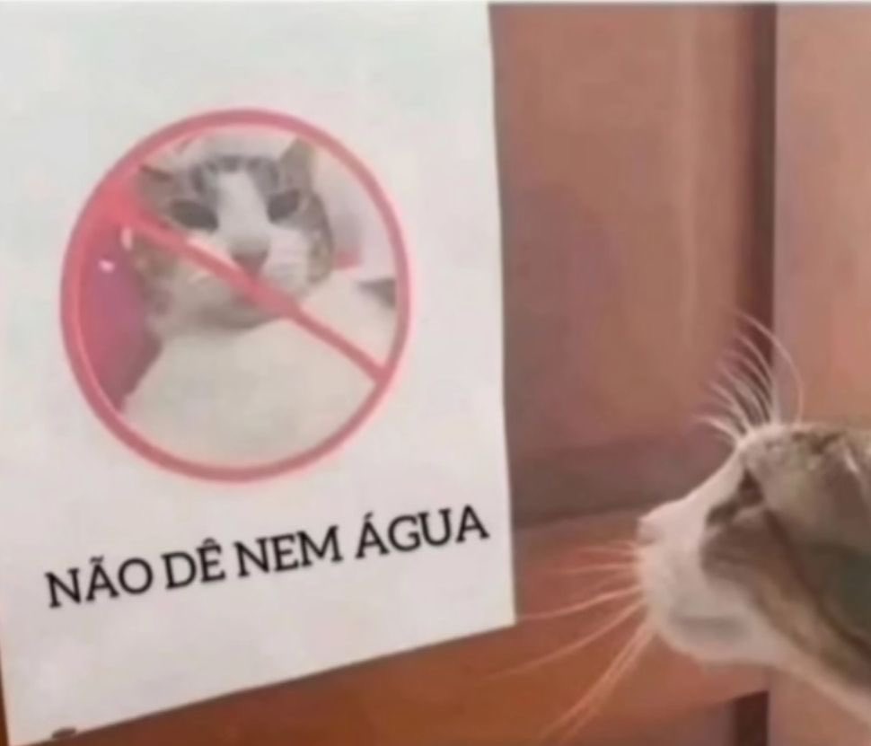 mittycal's tweet photo. quando você tira fotos pra comparar quando emagrecer   e no final vc tem várias fotos gorda com roupas diferentes https://t.co/lCOzucvdrR