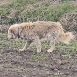 くるみmama tweet media