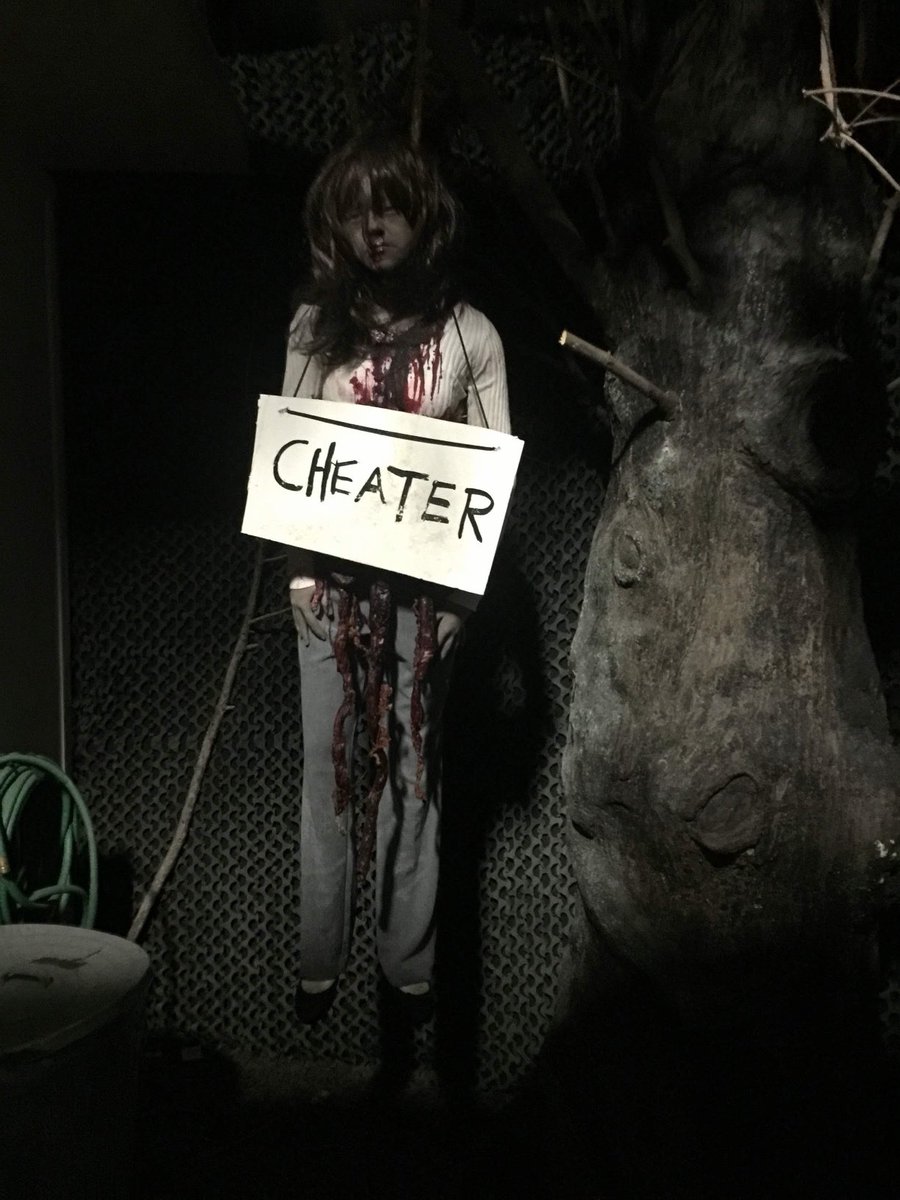 Expedition Theme Park tweet media