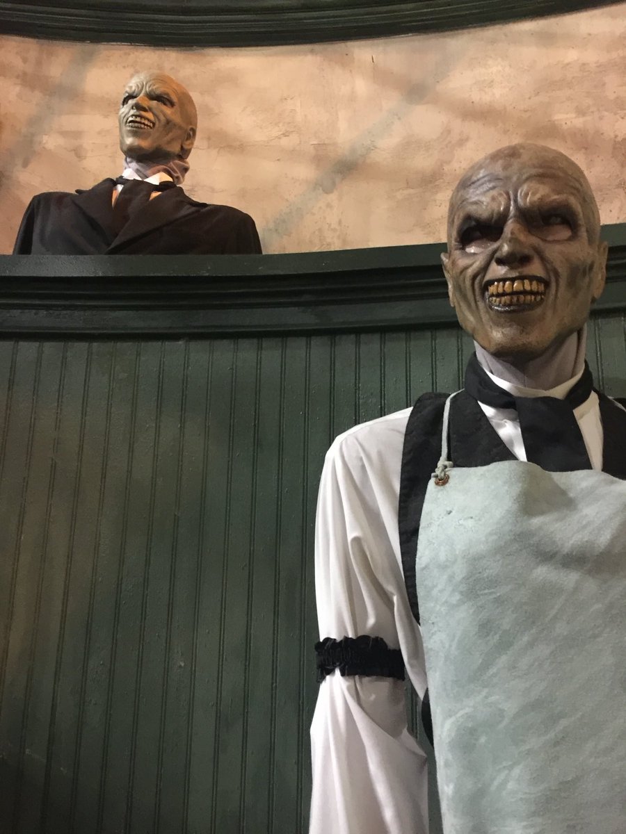 Expedition Theme Park tweet media