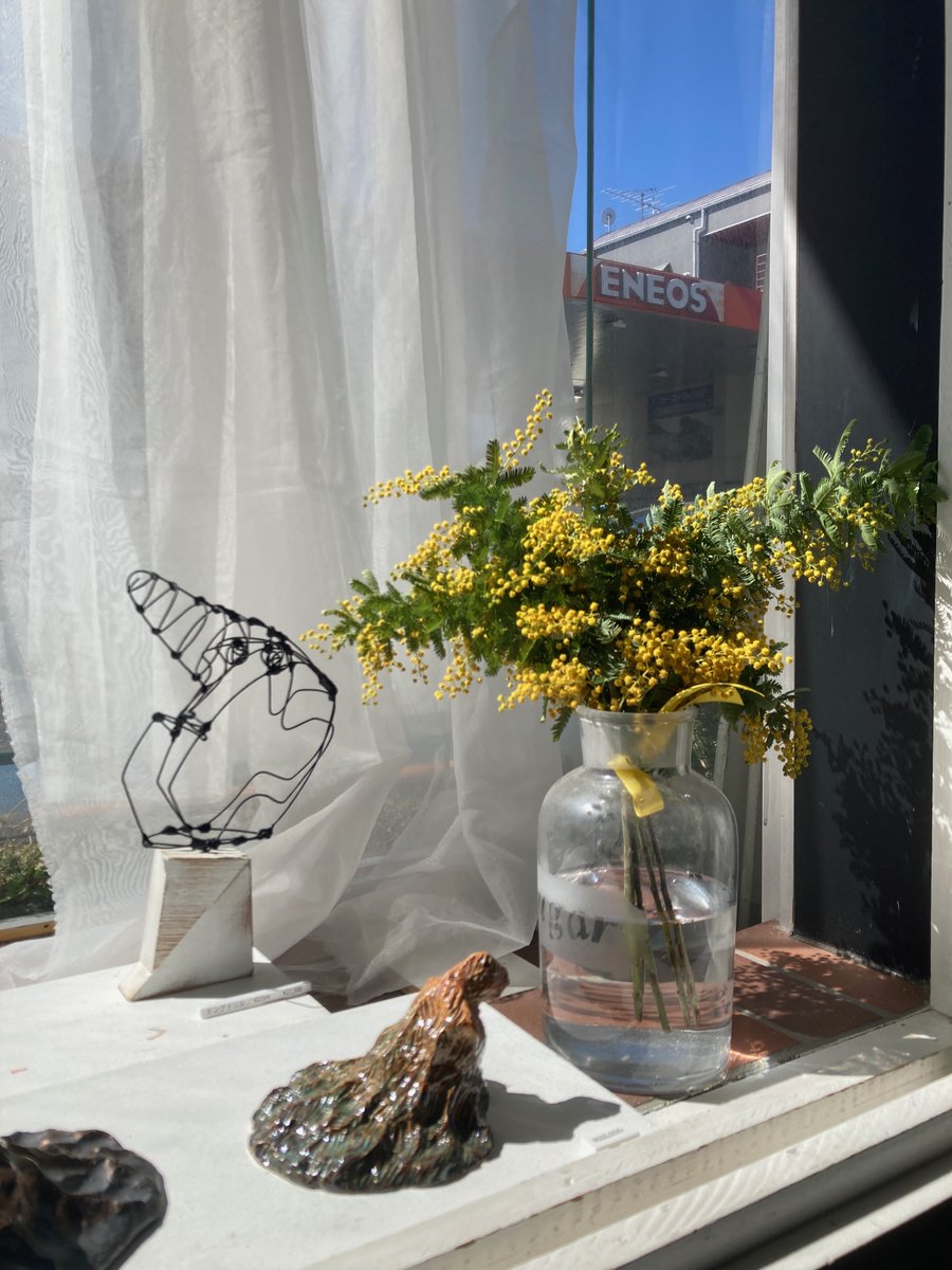 gallery  shell102 tweet media