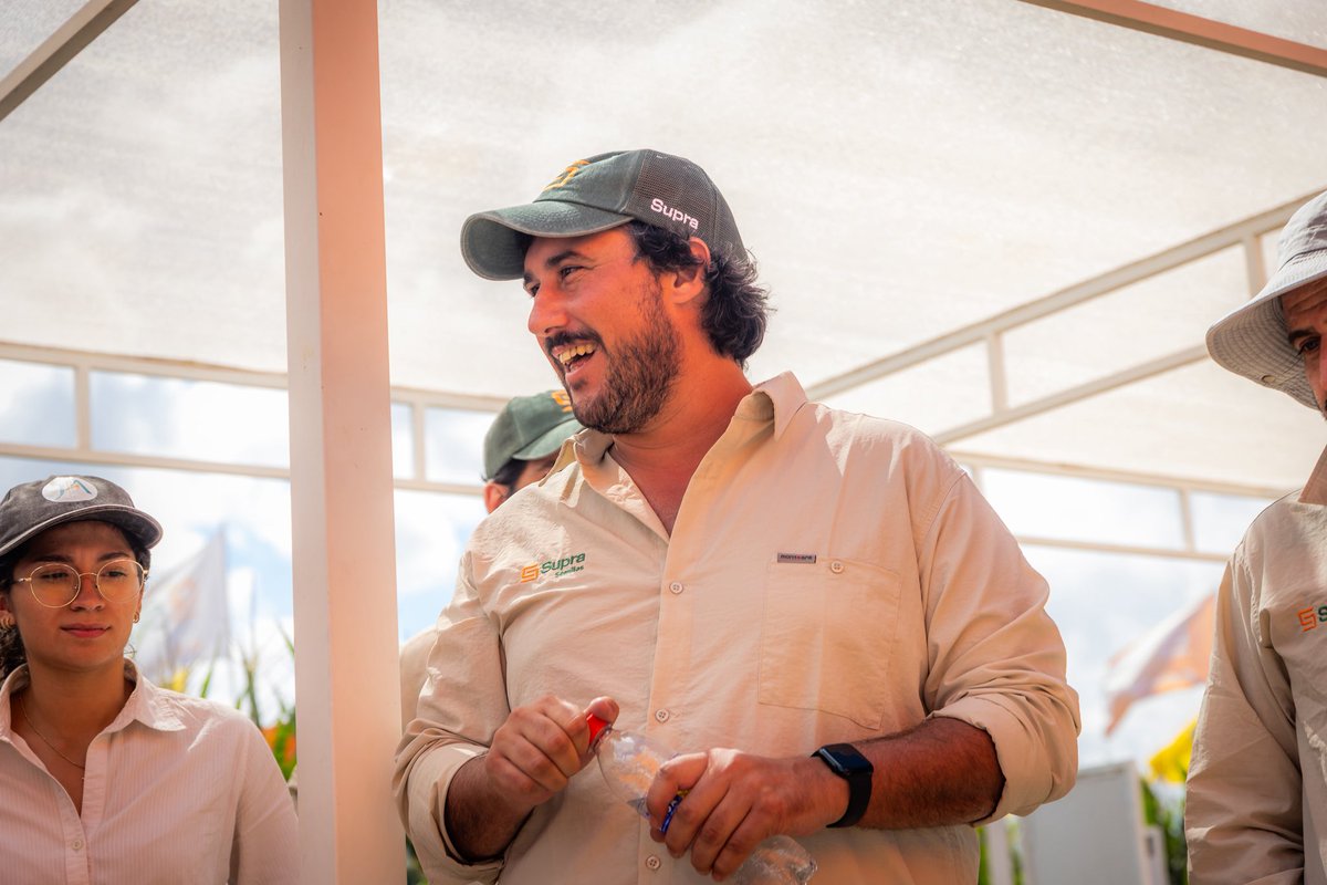 Justo MacLoughlin tweet media