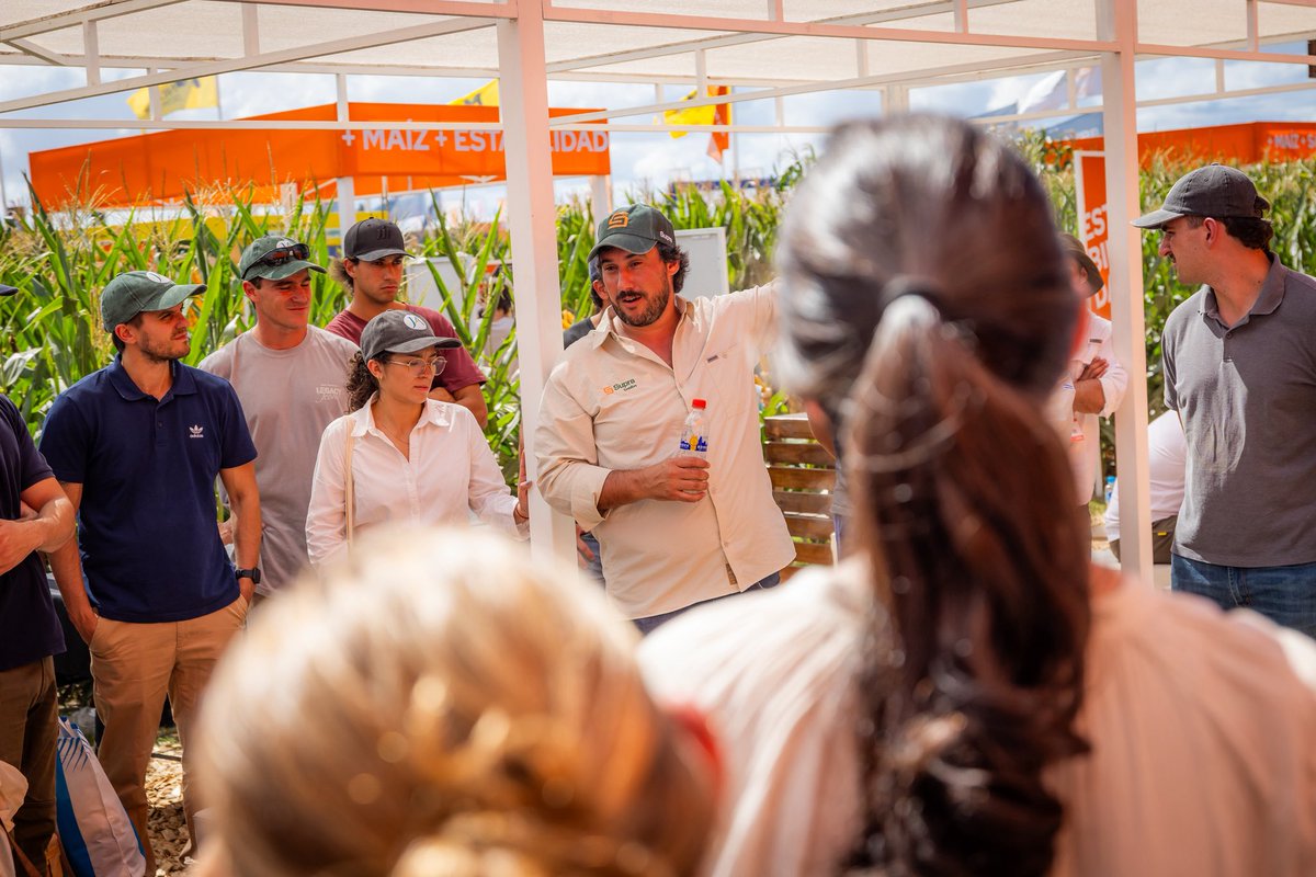 Justo MacLoughlin tweet media