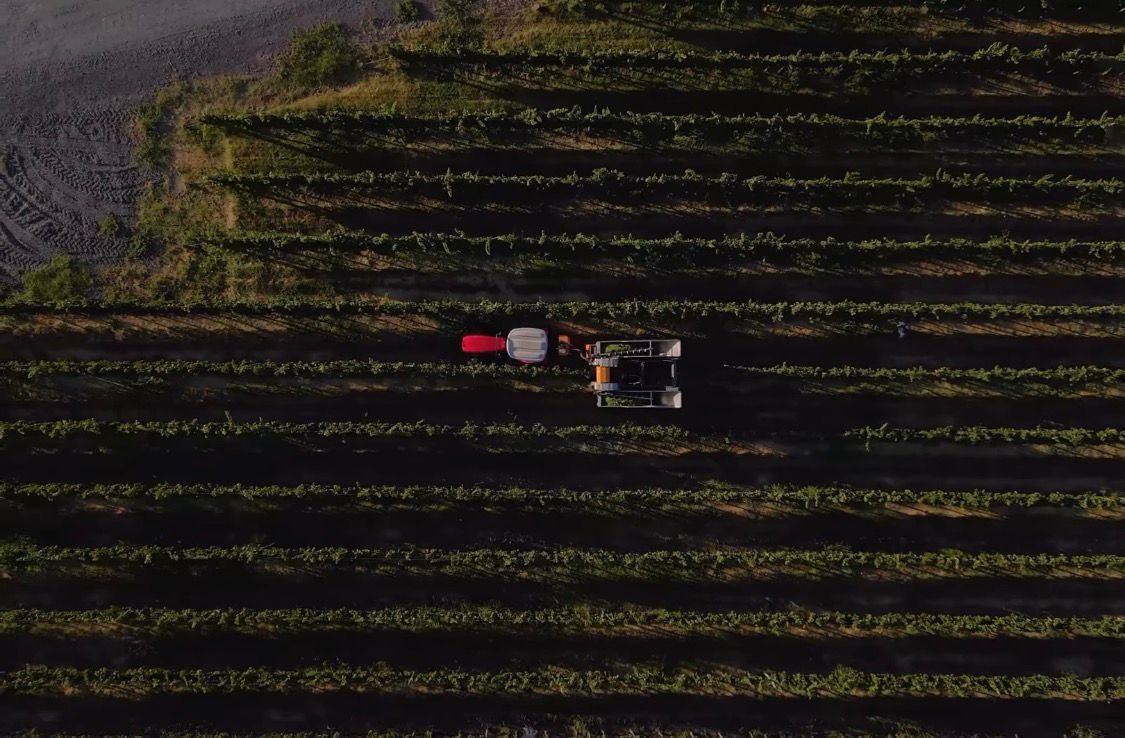 Juan Luis Ousset tweet media