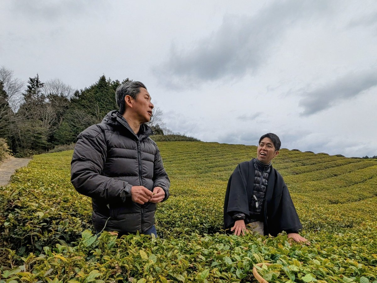 Non-FungibleTony (NFT) tweet media