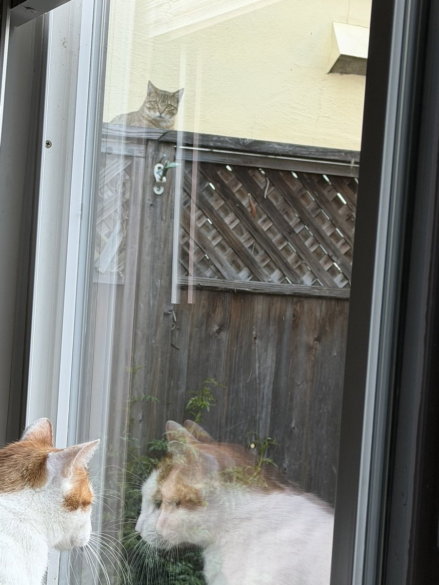 Ginni ✞ tweet media