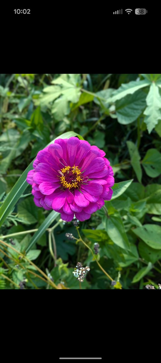 Brian Ulen tweet media