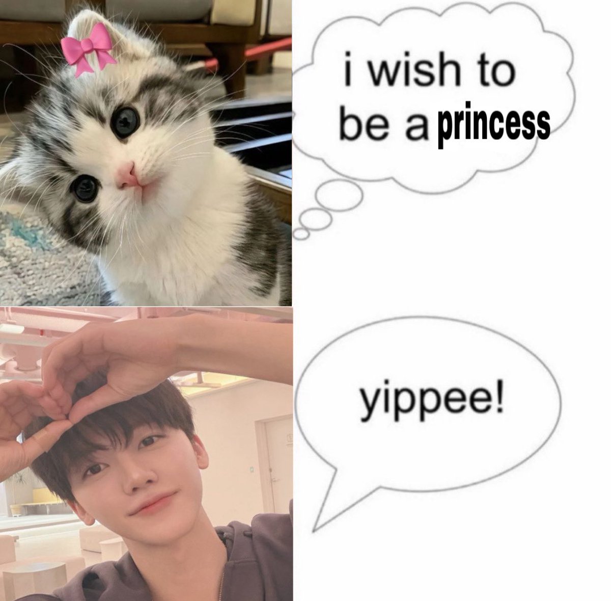 ౨ৎ (@pinkkinjm) on Twitter photo 