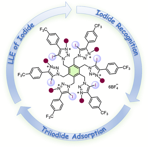 bhkenlo's tweet photo. Hexapodal Halogen-Bond Receptor for the Selective Liquid–Liquid Extraction of Iodide from Water | Inorganic Chemistry https://t.co/xGy0LwlYAt Ghosh and co-workers @InorgChem #hexapodal #halogen #LLE #iodide #receptor https://t.co/DMijPpIZYu